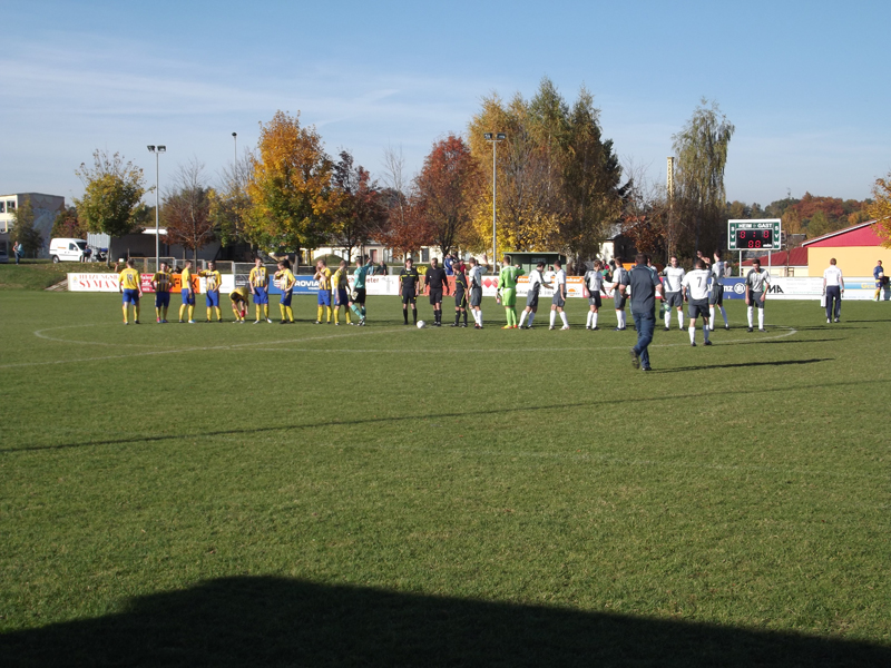 Beide Mannschaft bei der Begruessung im Stadion Am Quellenberg